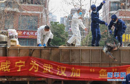 3月13日，一批運(yùn)到湖北省武漢市硚口區(qū)華生漢口城市廣場社區(qū)的活魚在卸貨。當(dāng)日，首批100噸調(diào)配自咸寧市的活魚運(yùn)抵武漢市硚口區(qū)11個(gè)街道下轄社區(qū)。 新華社記者 程敏 攝